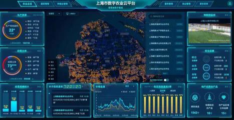 數(shù)字農(nóng)業(yè)，誰拔頭籌？——數(shù)字化競逐中的上海實踐